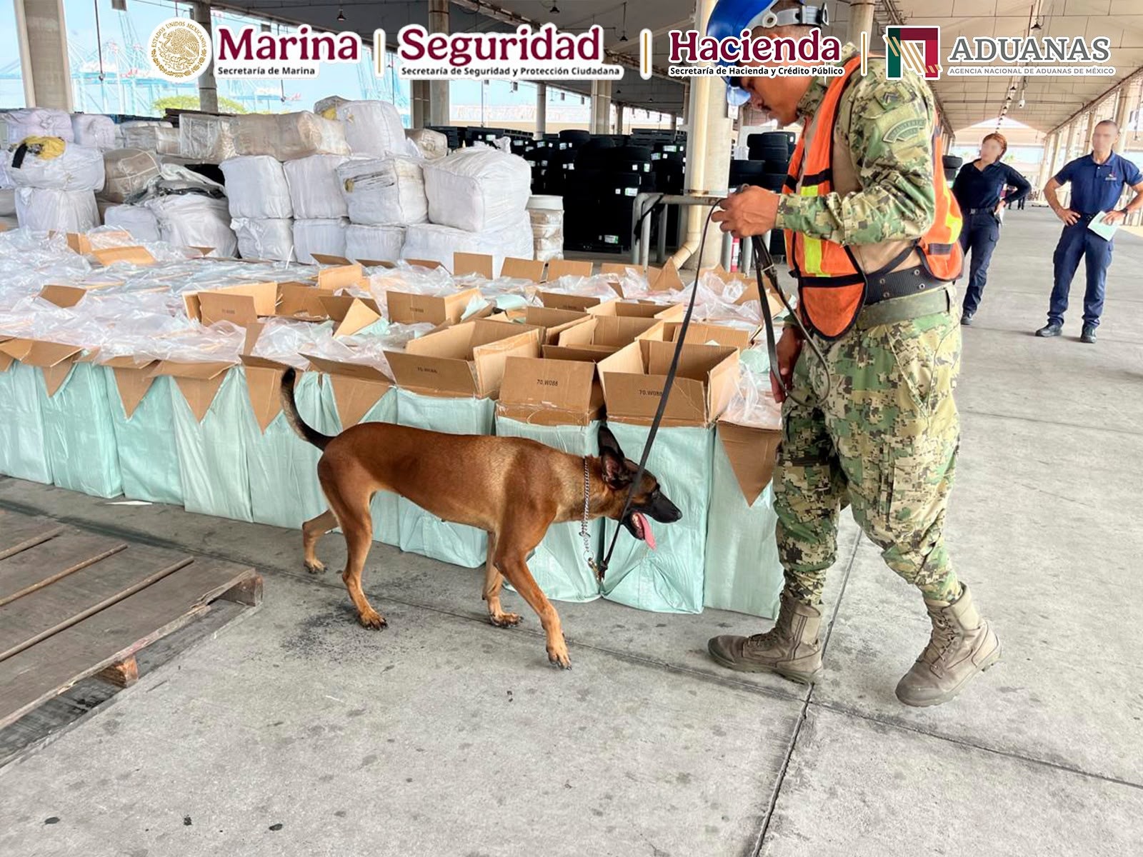 En Michoacán, Marina, ANAM y SSPC aseguran cerca de 10 millones de cigarros ilícitos